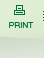 Print This Page